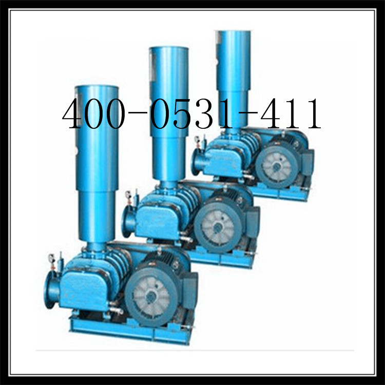 JZSH系列污水處置公用風機